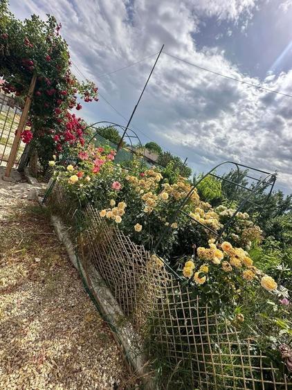 Casă cu 4 camere în Dorobanțu