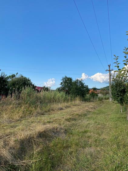 Teren Construcții intravilan de 2039 mp, în Curtea de Argeș
