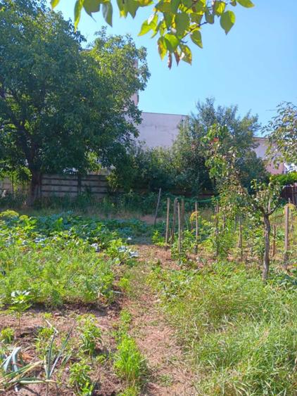 Casă cu 3 camere cu Teren 644 Mp în Marghita