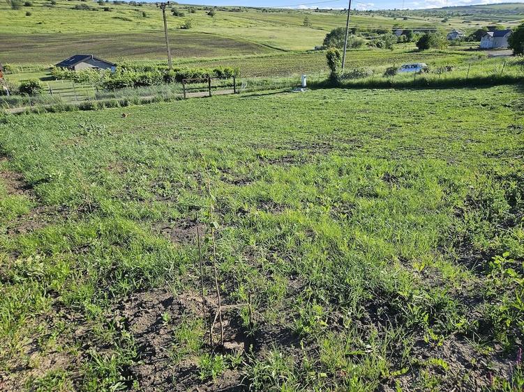 Teren de 1000 mp, în Iris