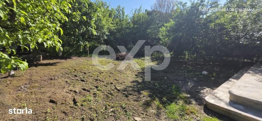 Vila Individuala Imensa + Casa de Oaspeti si Garaj Dublu | Teren 1.00 - 14