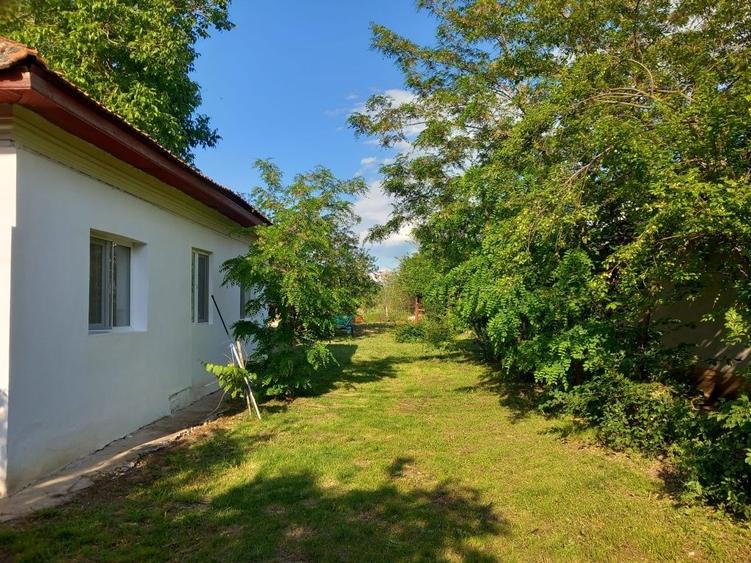 Casă cu 3 camere în Clănița