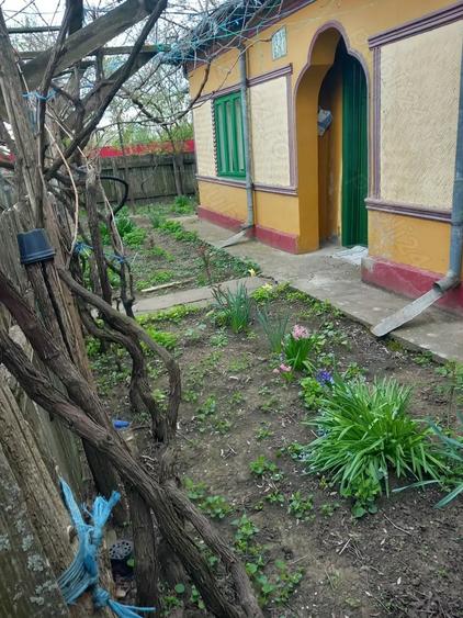 Casă cu 3 camere cu Teren 1980 Mp în Silistraru