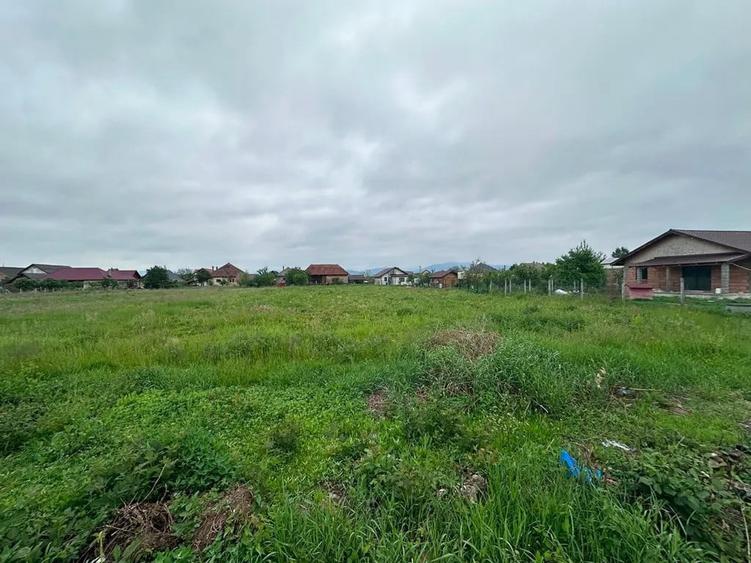 Teren de 2000 mp, în Lăpuș