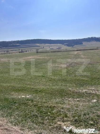 Teren intravilan de vanzare 1900 ari, la Cepari - 2