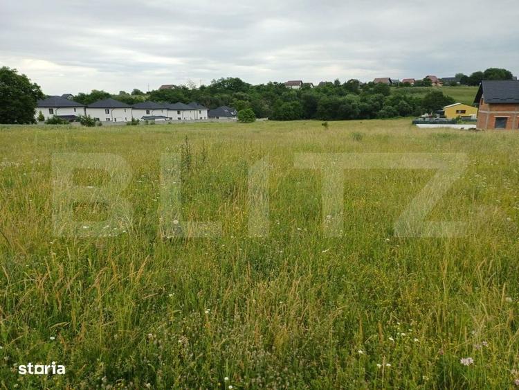 Teren de vanzare intravilan, 9 ari, Lisaura, com. Ipotesti - 1