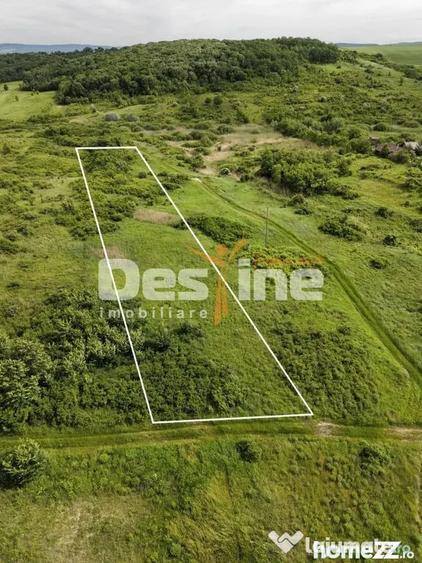 Teren de 7172 mp, în Valea Ursului