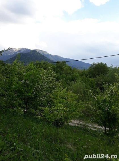 Teren de 10500 mp, în Central