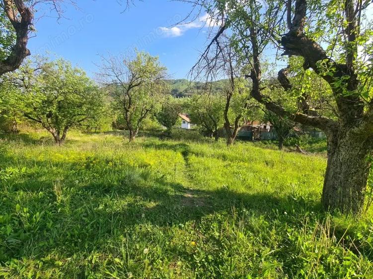 Teren de 950 mp, în Păușești