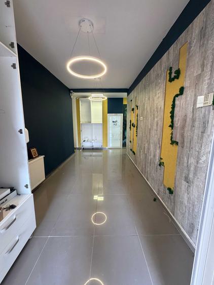 inchiriere spatiu comercial Sos. Nicolina - 1