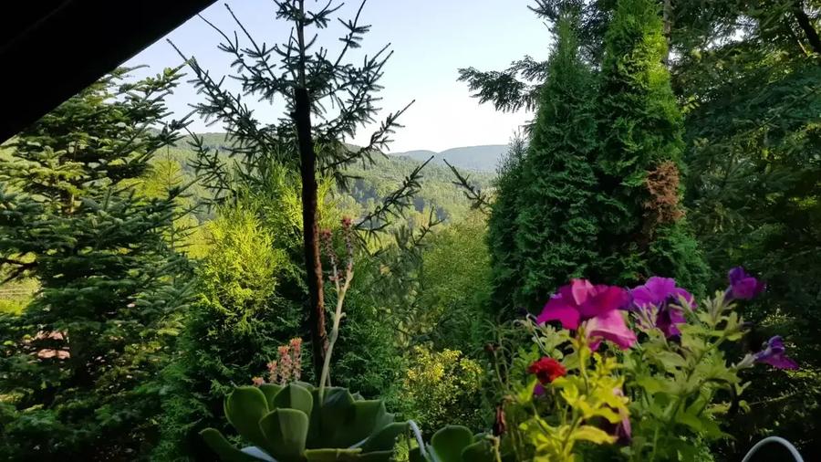 Casă cu 6 camere cu Teren 6200 Mp în Provița de Jos