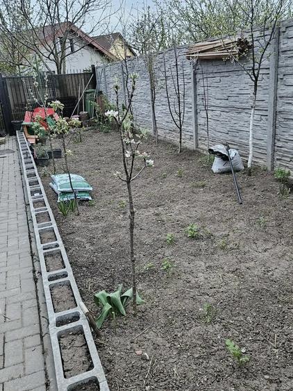 Casă cu 3 camere cu Teren 211 Mp în Sânandrei