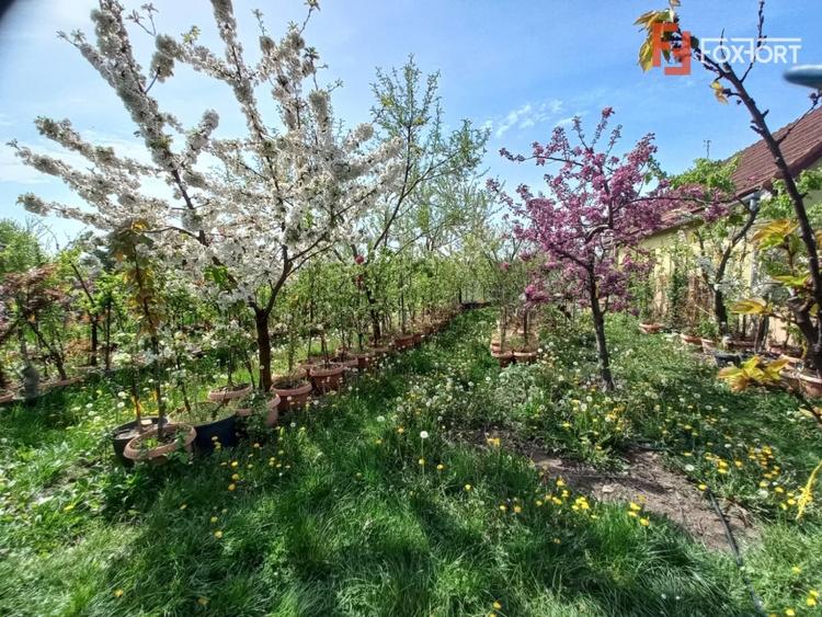 Casă individuală cu 5 camere cu Canalizare în Giarmata-Vii
