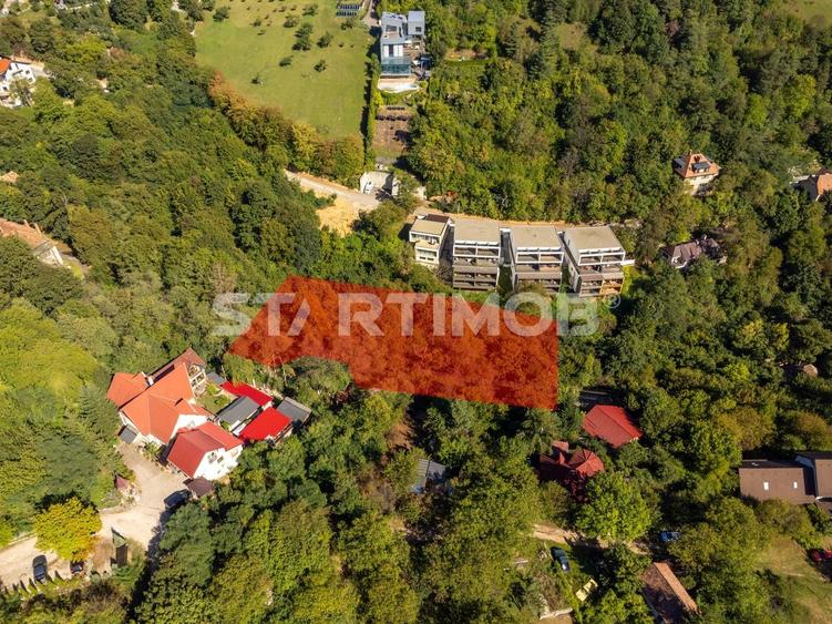 Teren Construcții intravilan de 2385 mp, în Schei