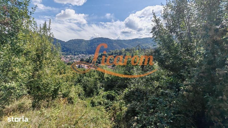 Spațiu comercial, în Drumul Poienii
