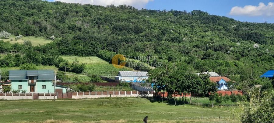 🏡 CASA  + Teren Intravilan 3000 mp , Totoești,Podu Iloaiei - 37.000 Euro 💰 - 1
