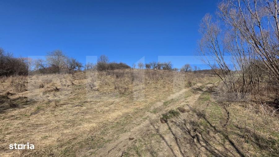 Teren de vanzare de 8,567MP in zona: Tarpiului - 1