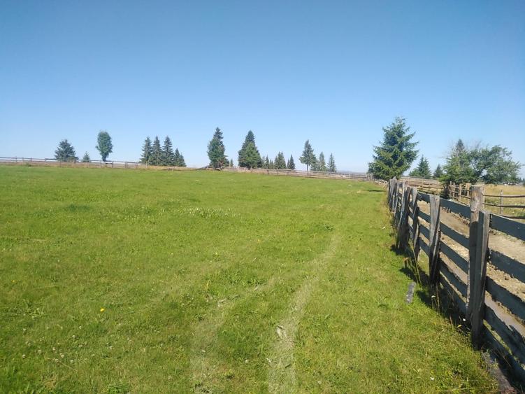 Teren Construcții intravilan de 3538 mp, în Măguri