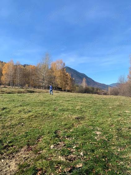 Teren în Tohănița