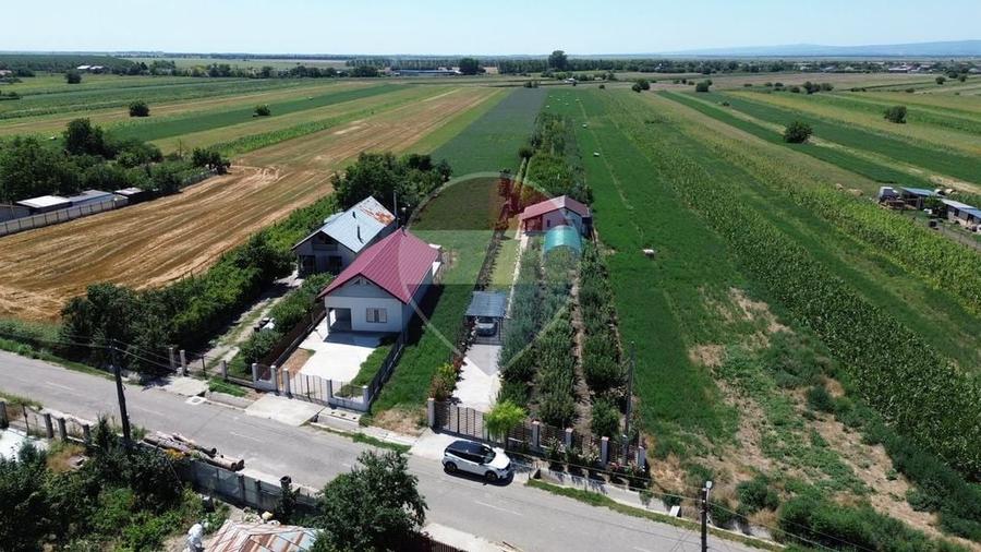 Casă cu 2 camere cu Teren 6943 Mp în Gologanu