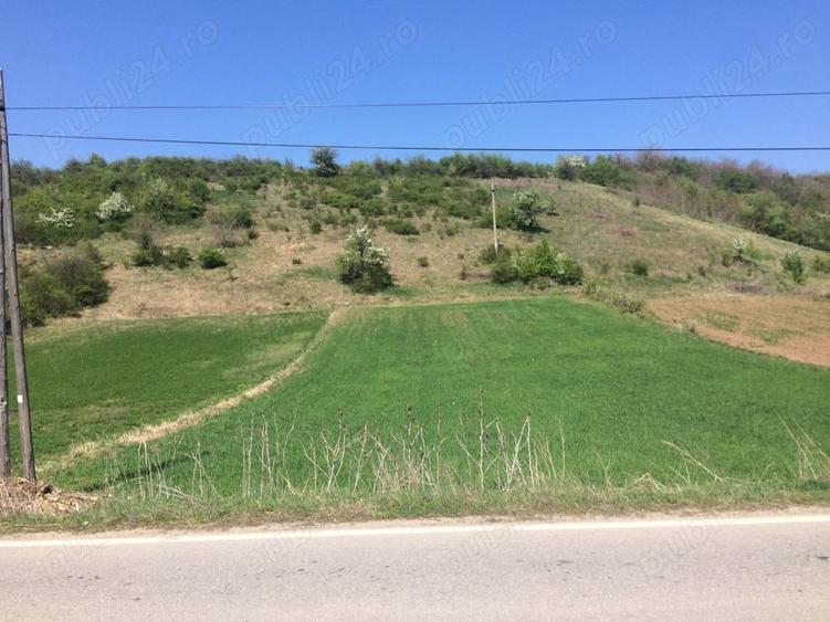 Teren de 3200 mp, în Berzasca