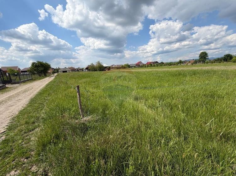 Teren Construcții intravilan de 2597 mp, în Mogoșești