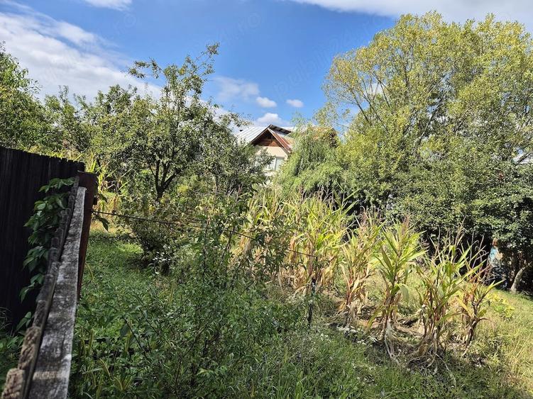 Teren de 364 mp, în Brăileni