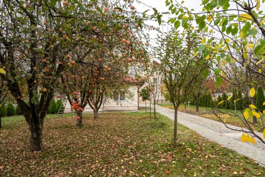 Casă individuală cu 7 camere cu Garaj în Săftica