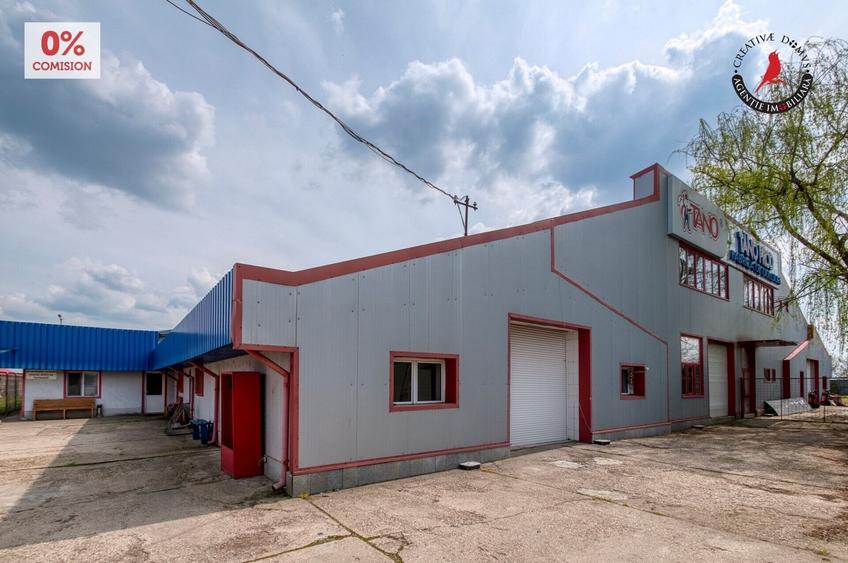 Spațiu industrial, în Frătești