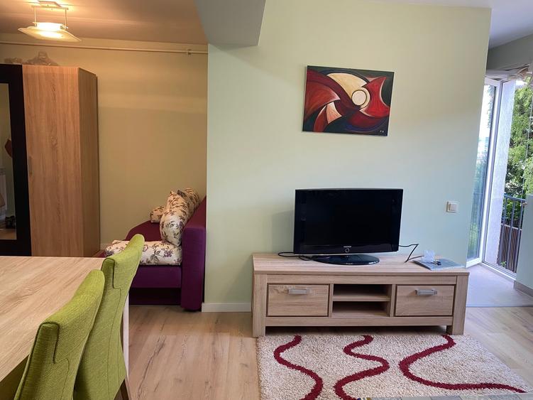 Apartament cu 2 camere semidecomandat în Bună Ziua