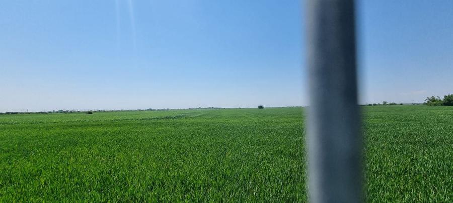 Teren Construcții intravilan de 13850 mp, în Domnești