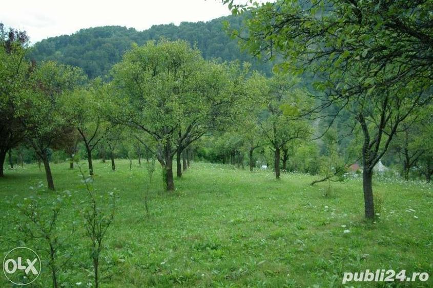 Teren de 5062 mp, în Voineasa