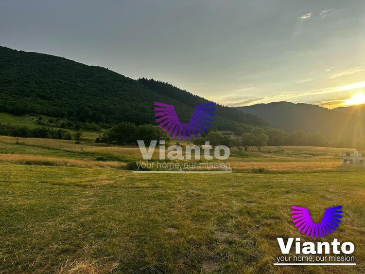 Teren agricol extravilan de 3408 mp, în Gura Râului