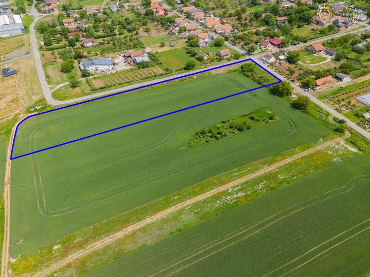 Teren agricol intravilan de 6400 mp, în Miniș