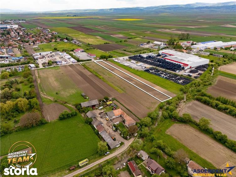 Teren de 5000 mp, în Central
