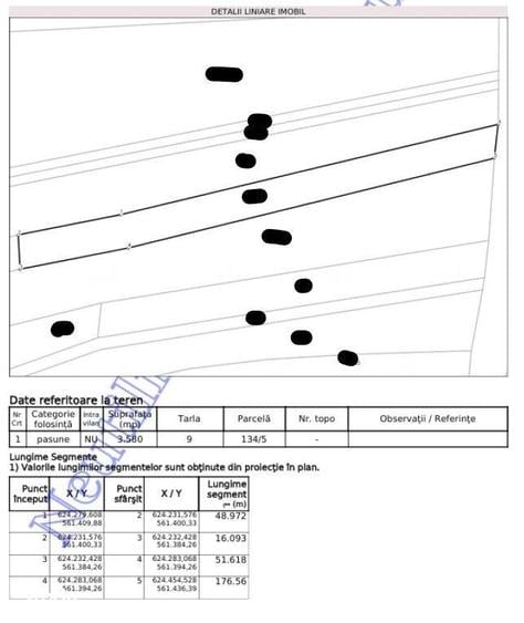 Teren extravilan pasune Ardeoani, ID: R2404618 - 9