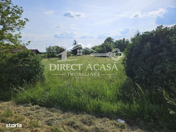 Spațiu comercial, în Ernei
