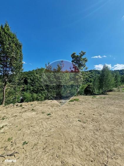 Casă cu 3 camere cu Teren 6000 Mp în Central