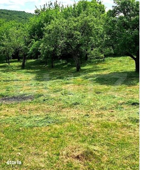 Teren intravilan, 1.518 mp in Feleacu Confort, natura si utilitati - 3