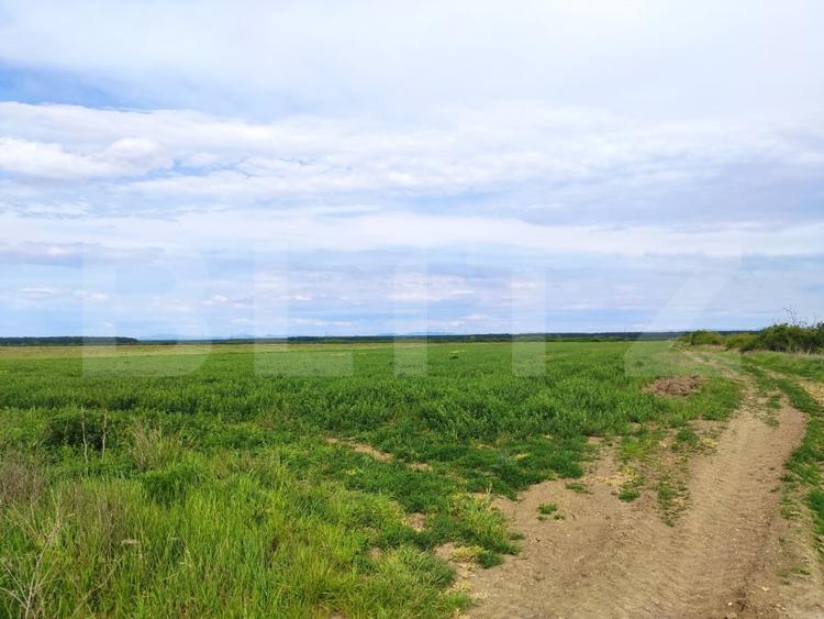Teren agricol extravilan de 2160 mp, în Exterior Vest