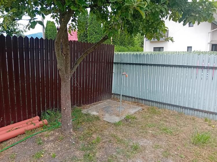 Casă cu Teren 1450 Mp în Viișoara