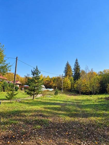 Teren Construcții intravilan de 5057 mp, în Milcoiu
