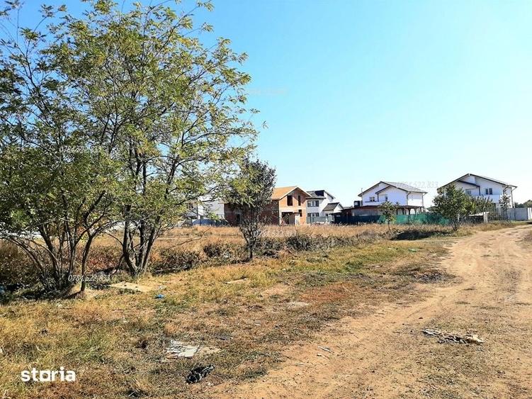 Loturi de teren intravilan aproape de Bucuresti, comuna Berceni IF - 7