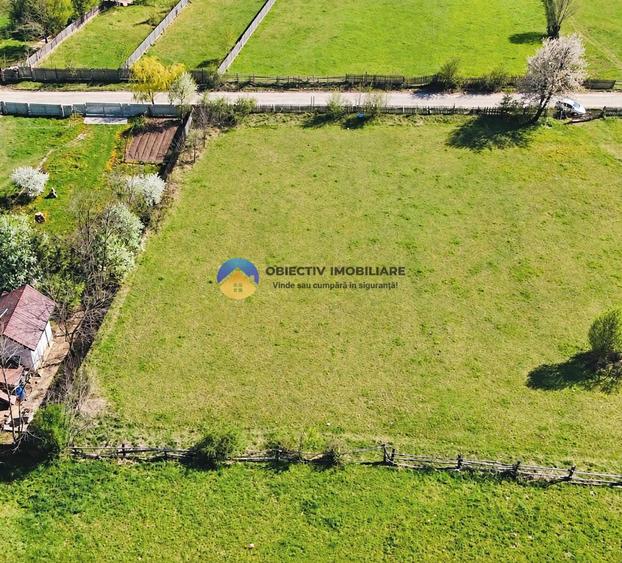 Teren intravilan de 1000 mp, în Cuejdiu