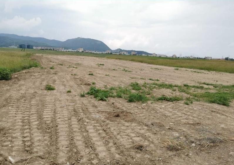 Teren Construcții intravilan de 7348 mp, în Triaj