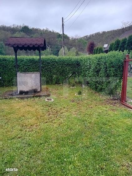 Casă cu 3 camere în Criș