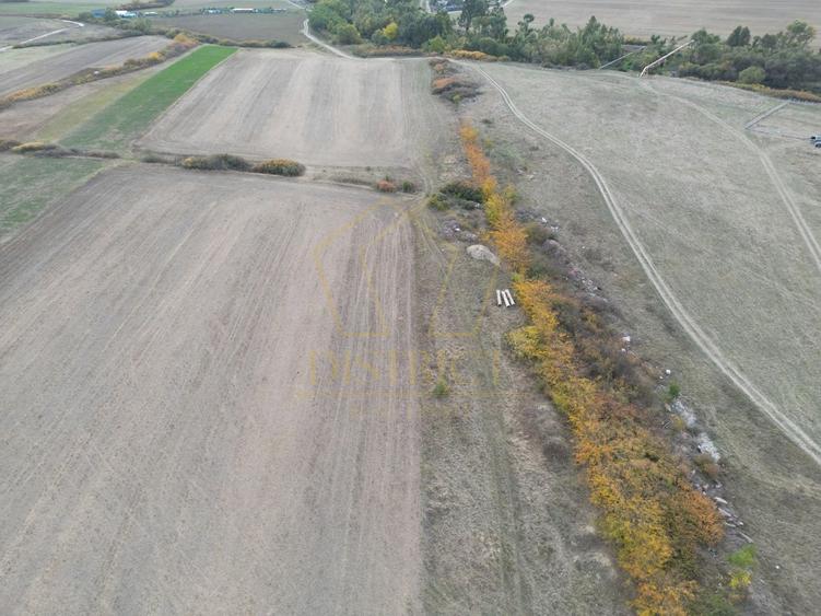 Teren Construcții intravilan de 11600 mp, în Remetea Mare