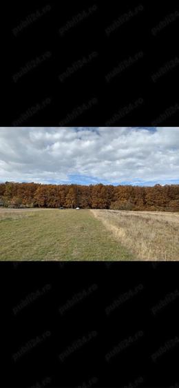 Teren de 20000 mp, în Ciomăgești