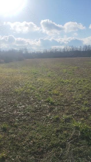 Teren de 6700 mp, în Gălețeanu