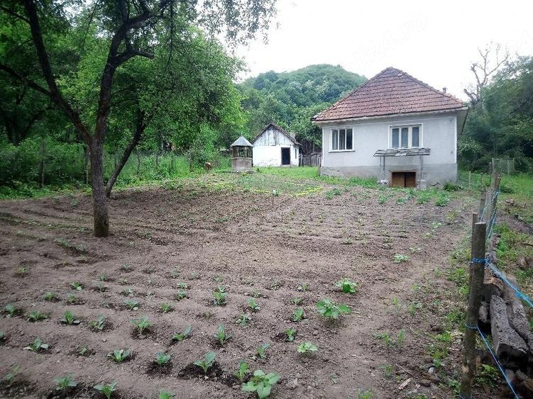 Casă cu 2 camere cu Teren 2763 Mp în Hălmagiu